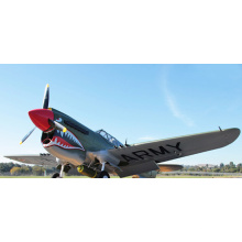 ePO P40 modelo eclético aeronaves de grande porte